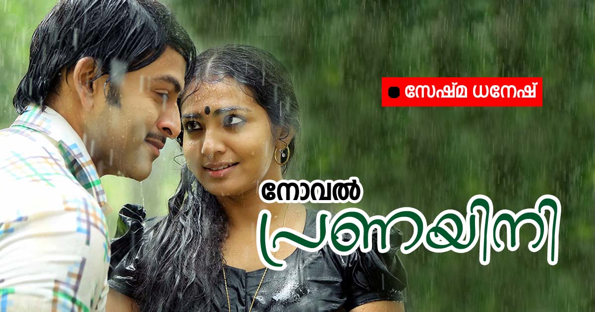 സനൂസ് നോവൽ - ShareChat